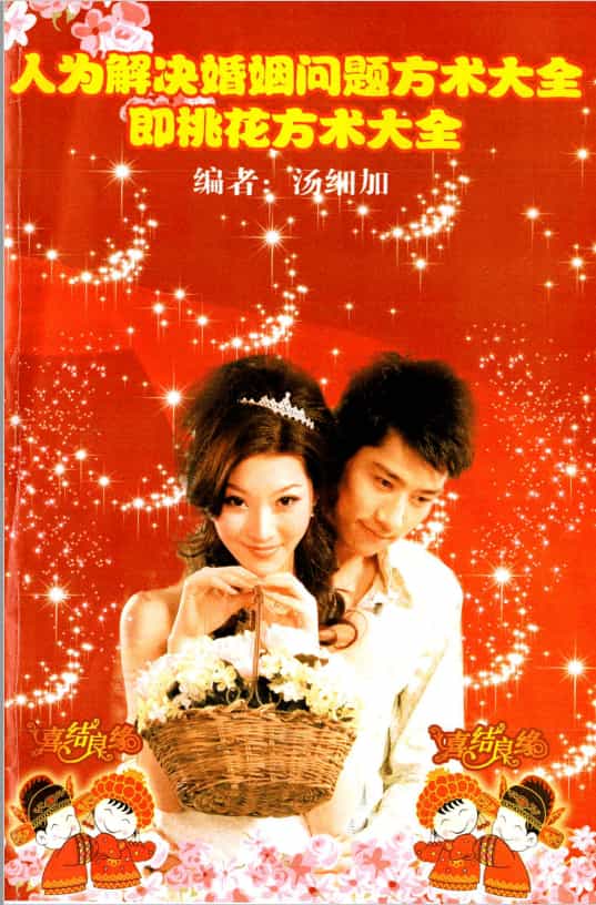 汤细加《人为解决婚姻问题方术大全即桃花方术大全》509页,高清百度网盘下载