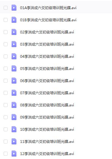 李洪成SY六爻初级培训班 30集