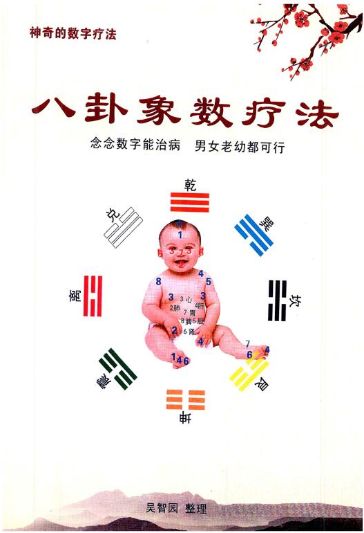 吴智园《八卦象数疗法》八卦象数疗法 男女老幼都可行  彩色版