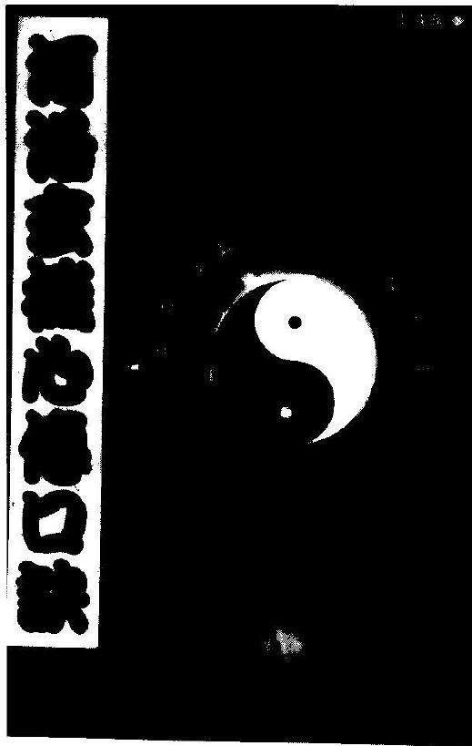 丁骏瑜《河洛玄机心传口诀》205页