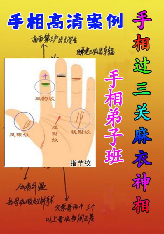 黄瑞海手相弟子班教学案例273页，200个案例