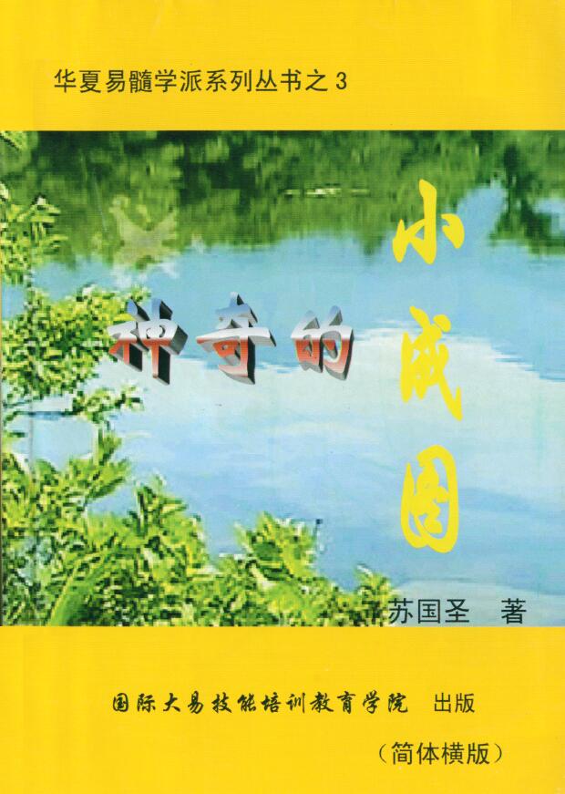 苏国圣《神奇的小成图》