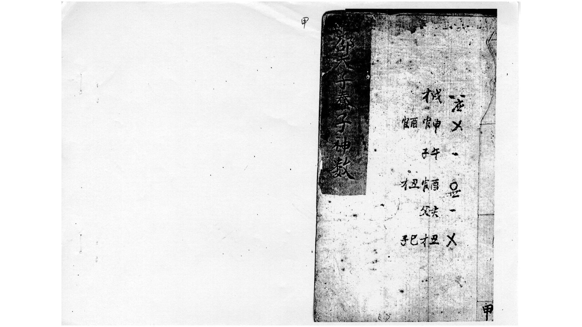 邵夫子蠢子神数