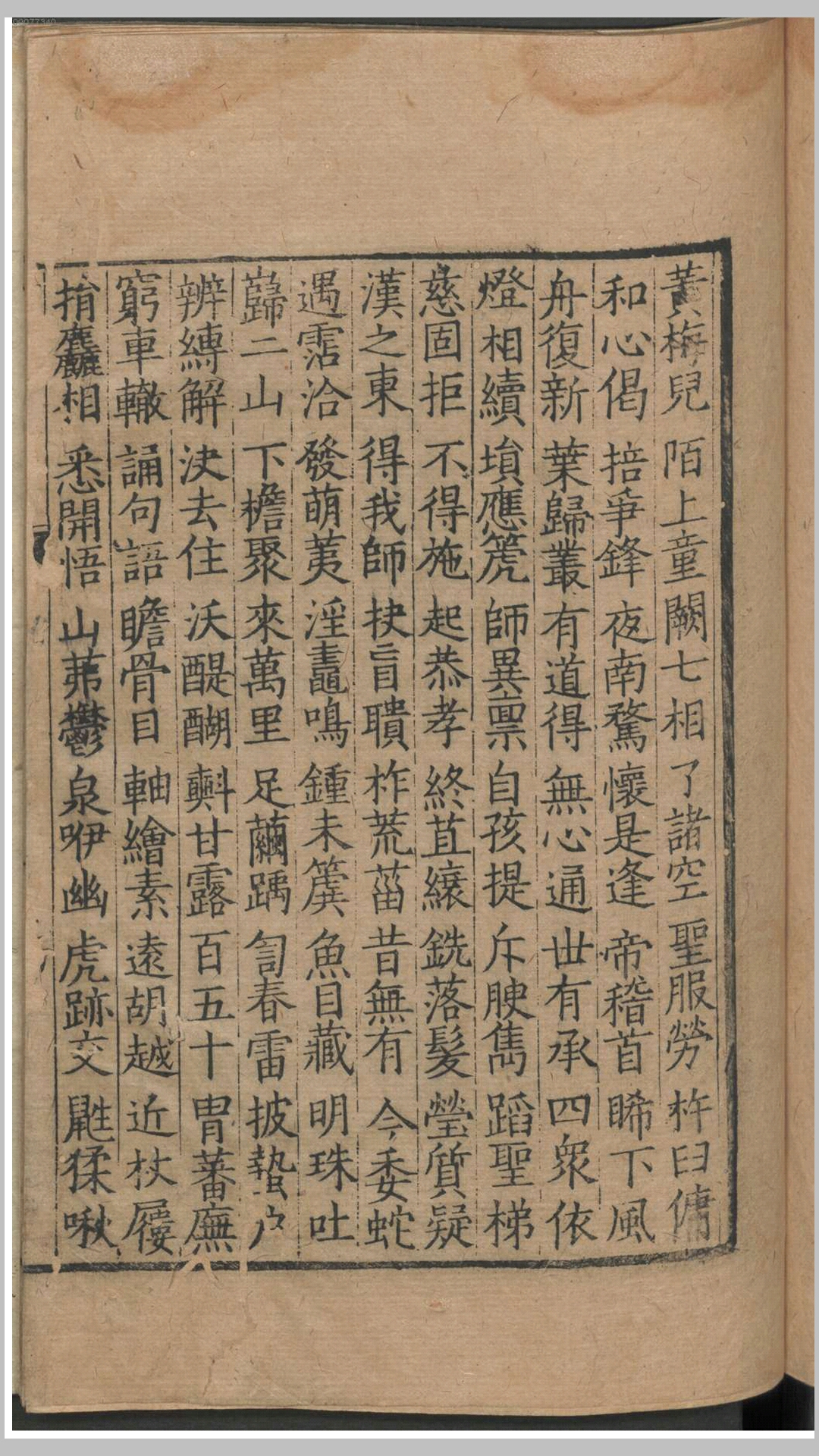 大师