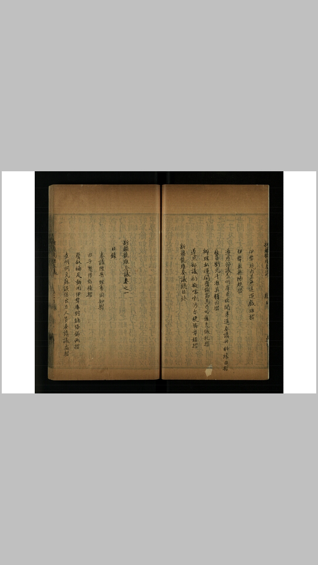 新疆