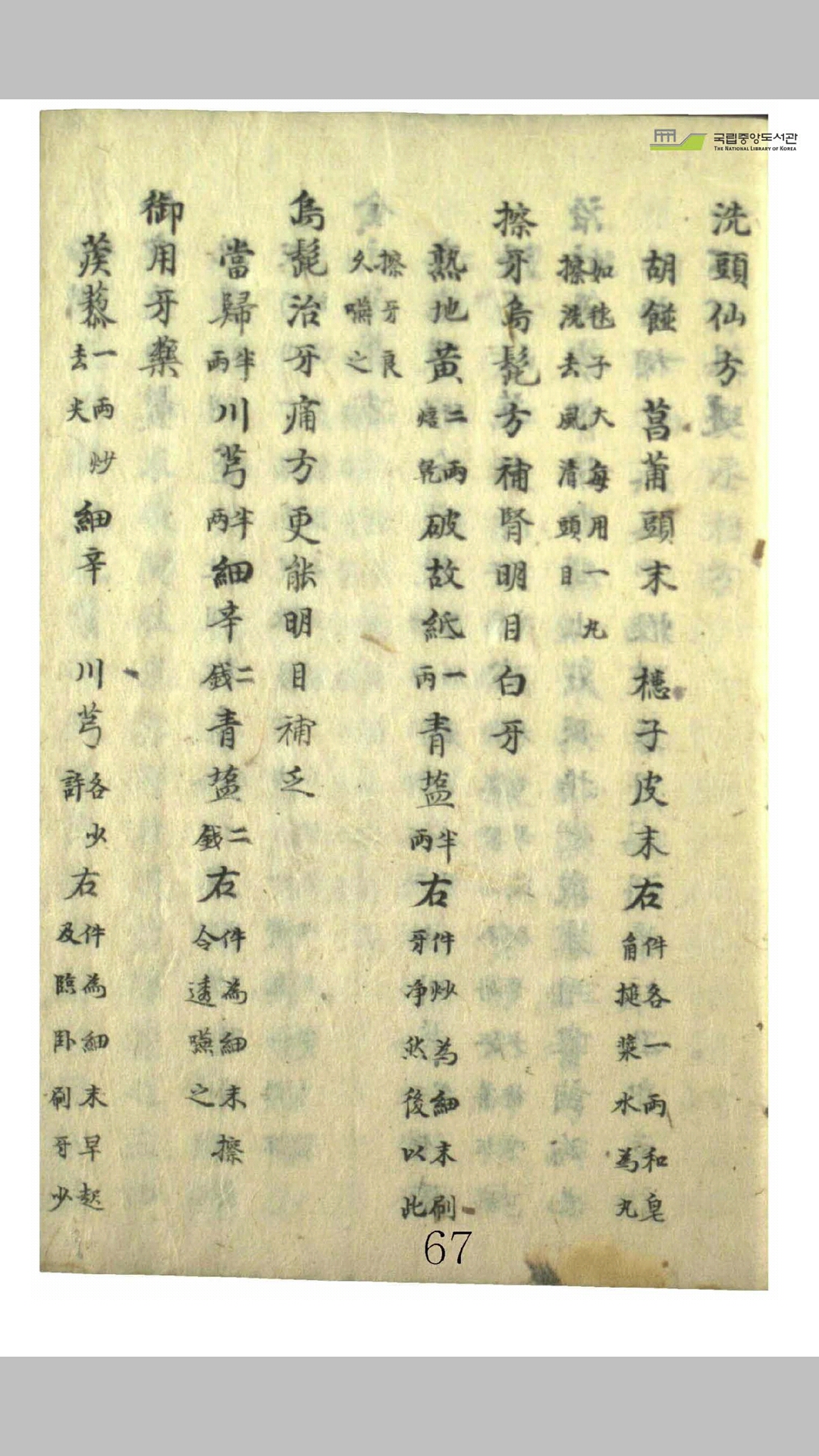 赵