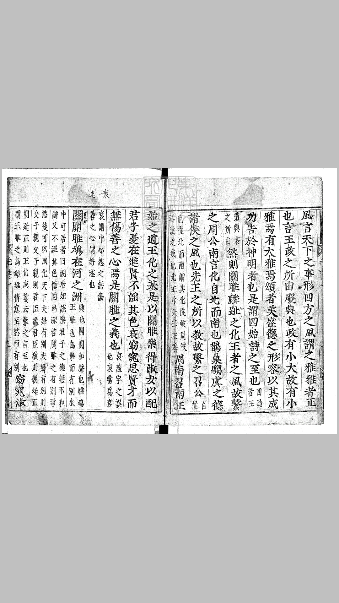 毛