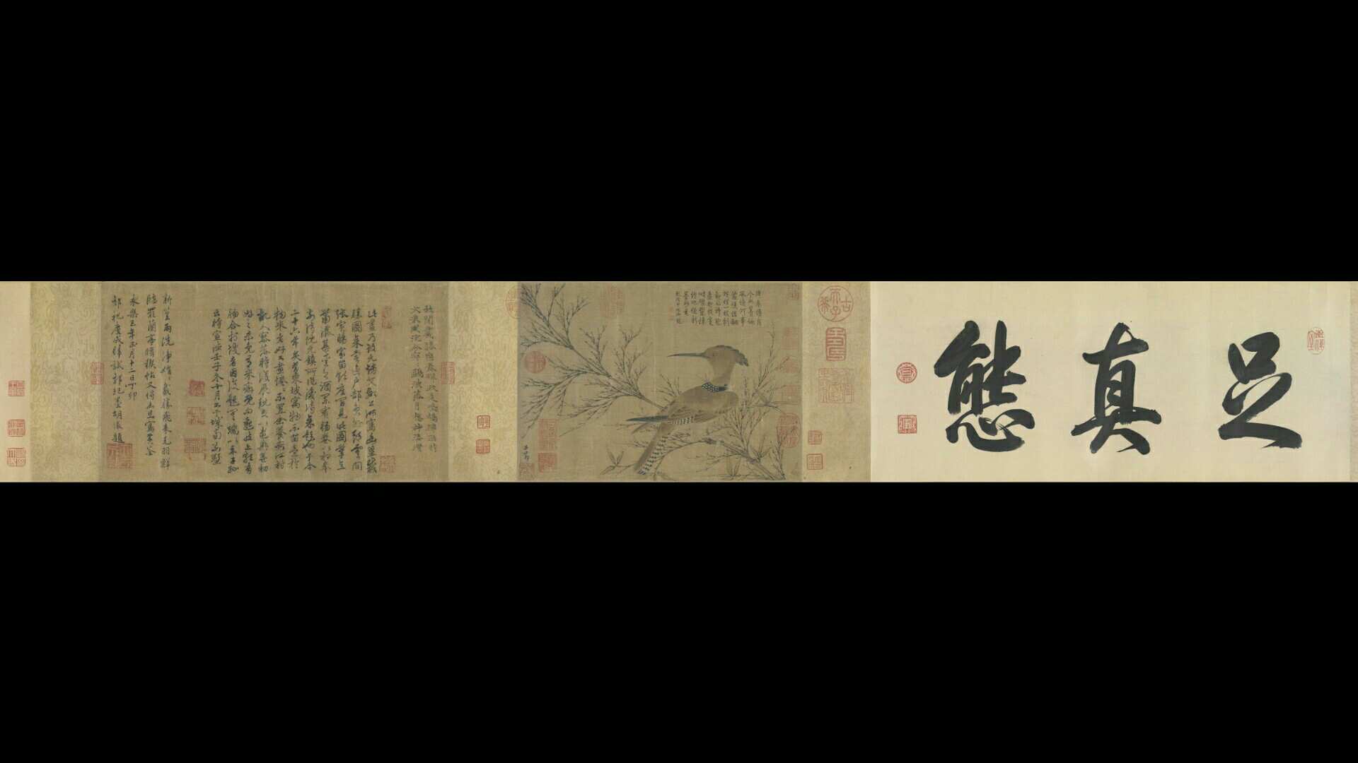元 赵孟頫 幽篁戴胜图全卷25.4X36
