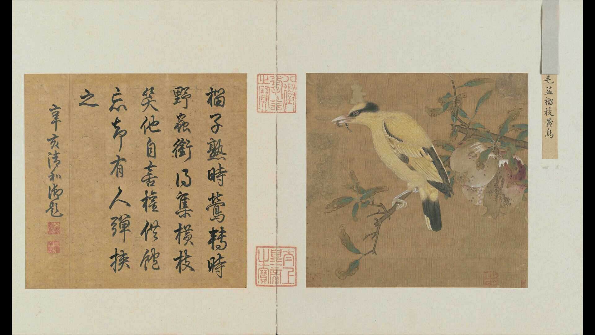 榴枝黄鸟图