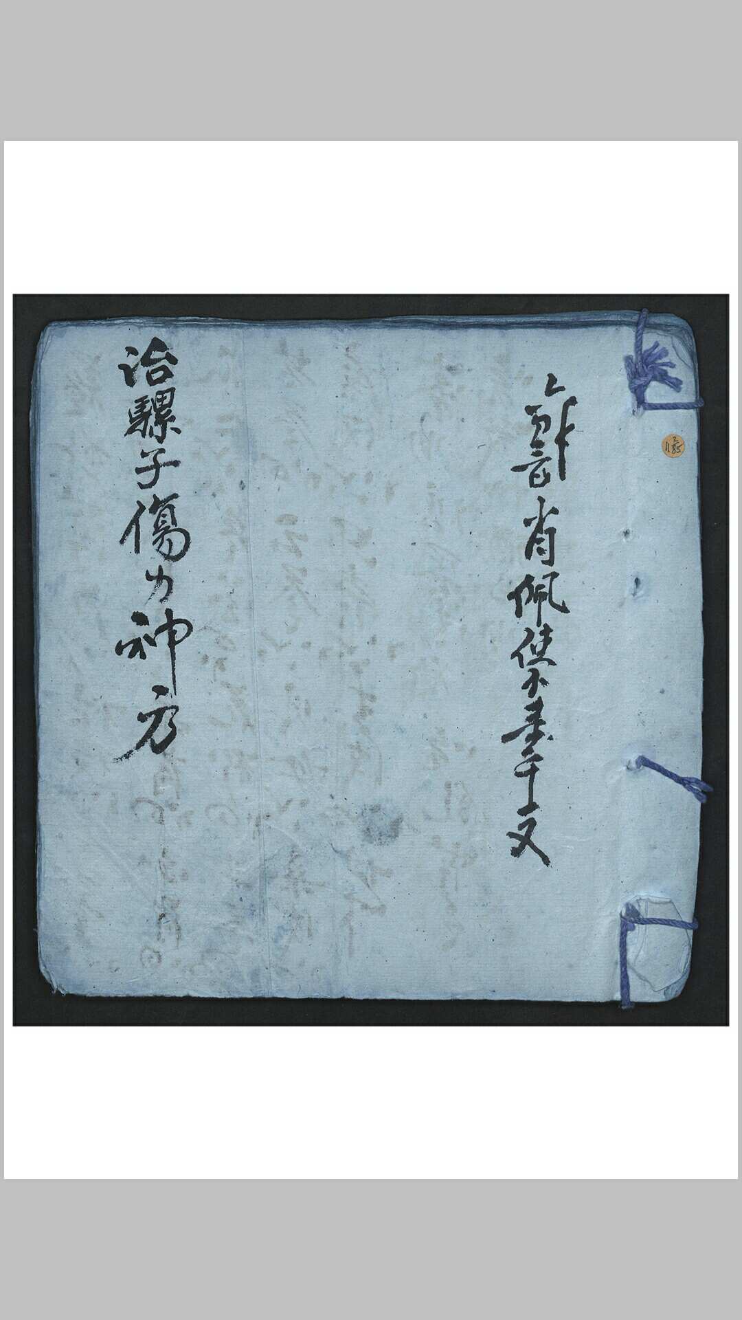 肖佩 治骡子伤力神方