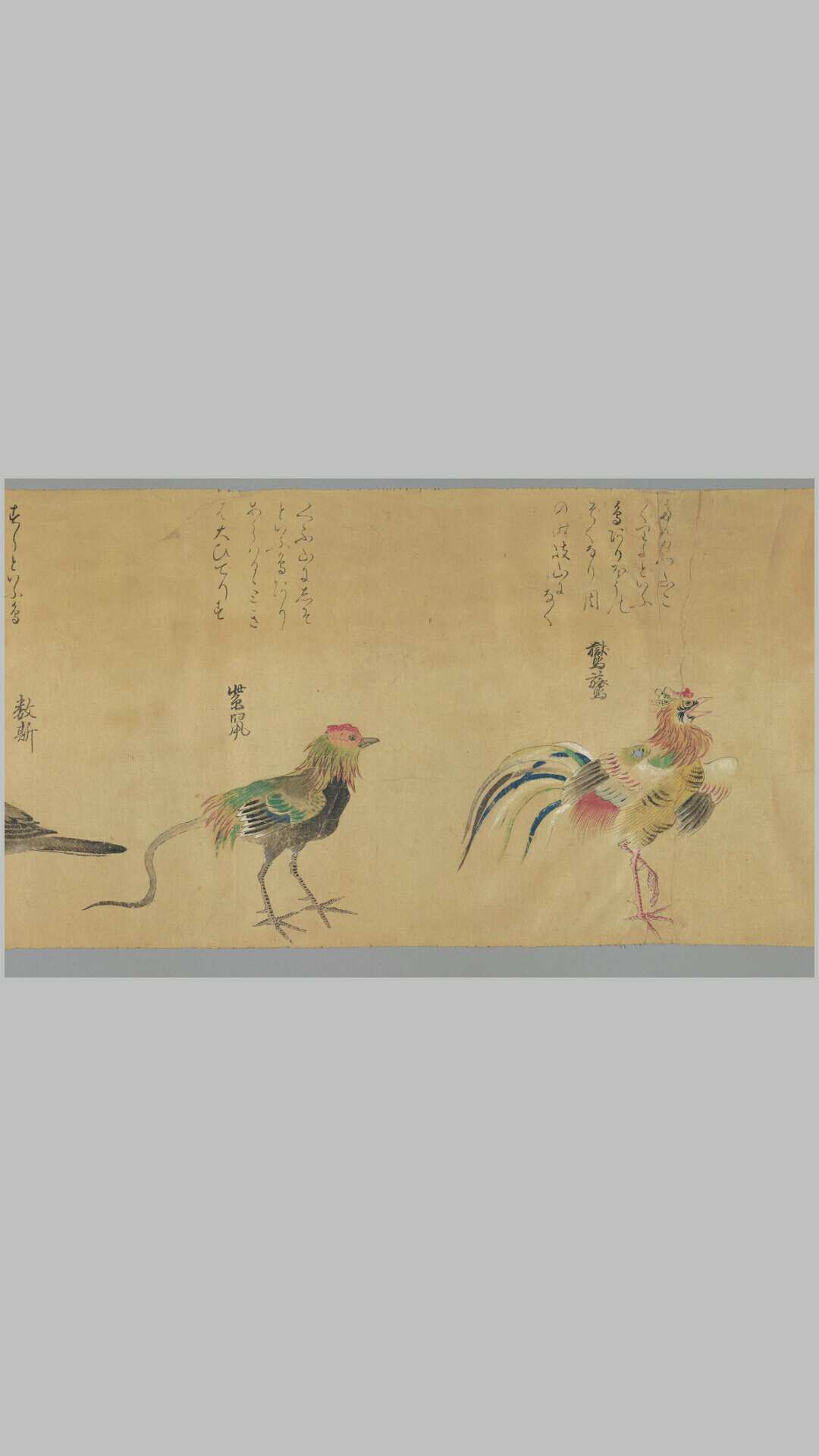 怪奇鸟兽图卷