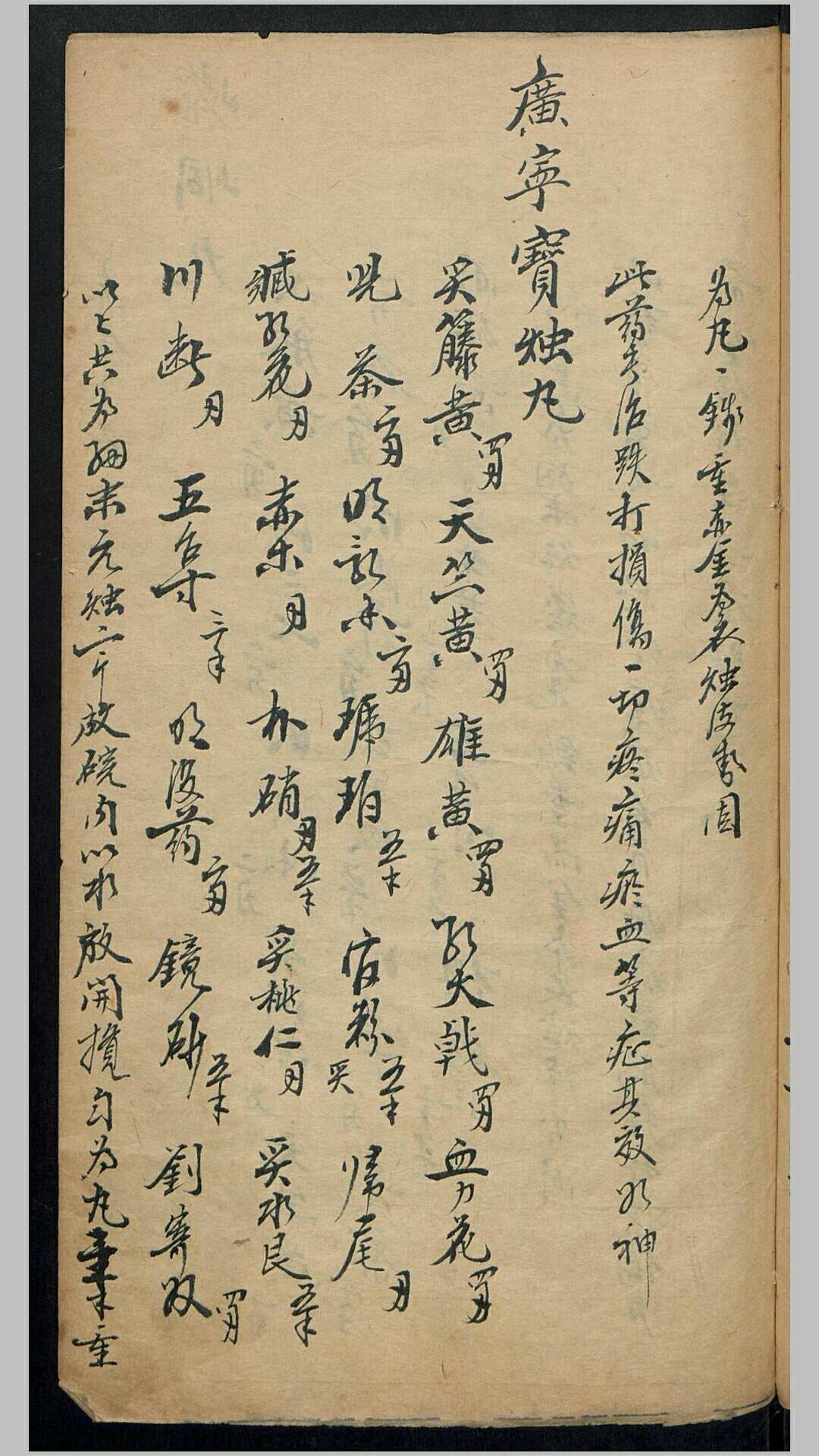 丸散膏丹