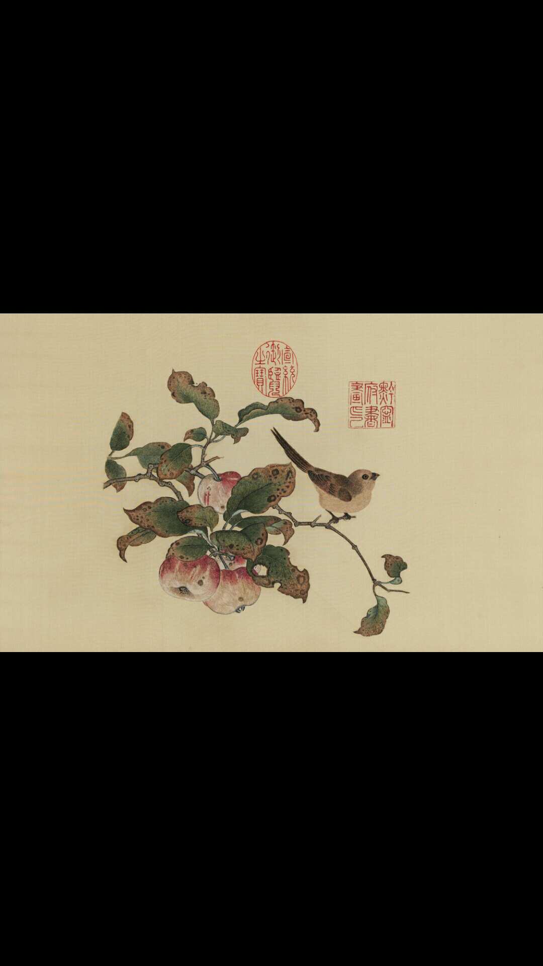 宋 黄筌 苹婆山鸟图 34×55