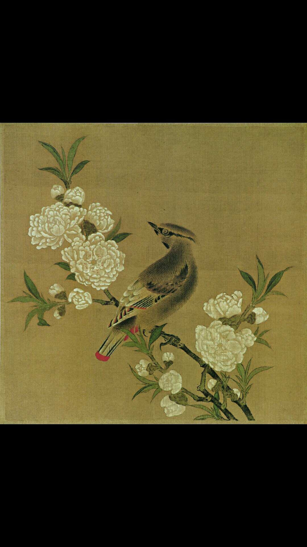 宋 佚名 桃花山鸟图绢本