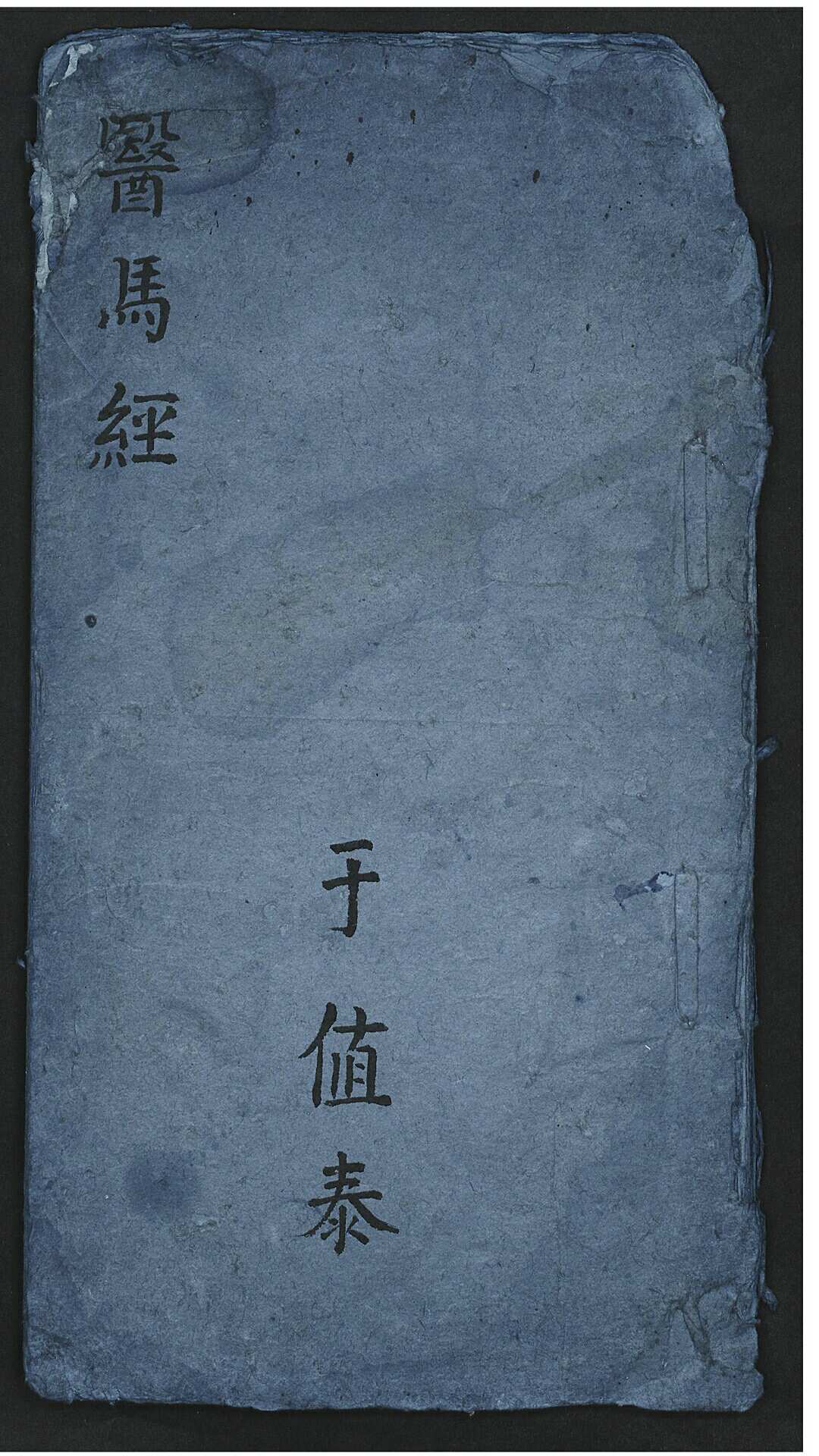 于值泰 医马经