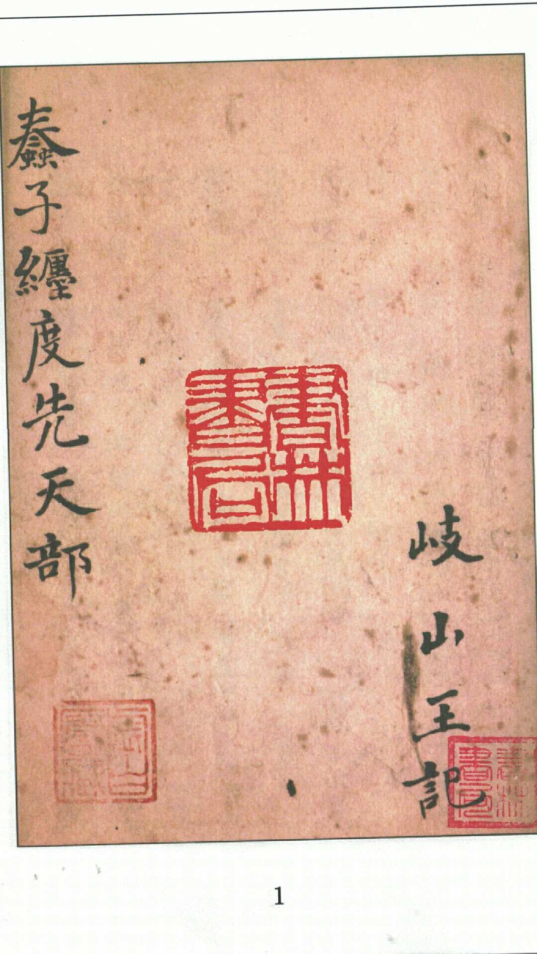 蠢子数缠度