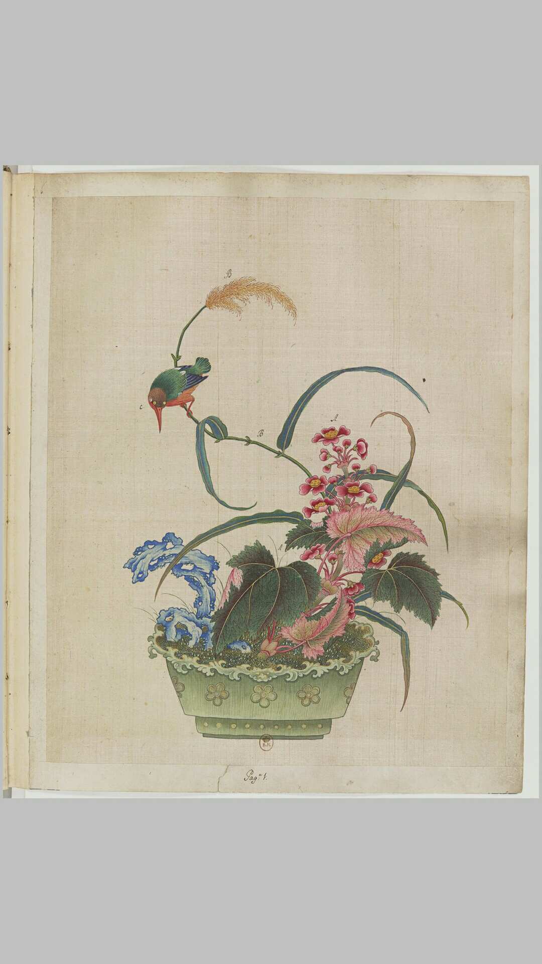 盆景花鸟图册.Fleurs.oiseaux et insectes.两卷.外销画.约十八世纪