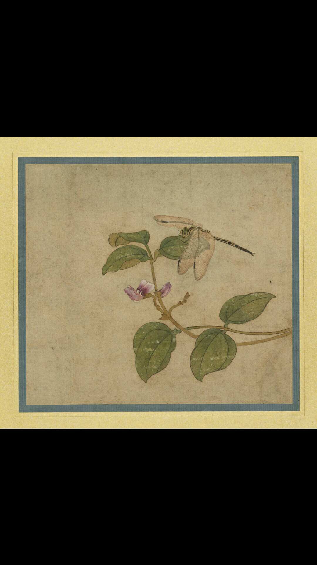 王渊  蜻蜓图