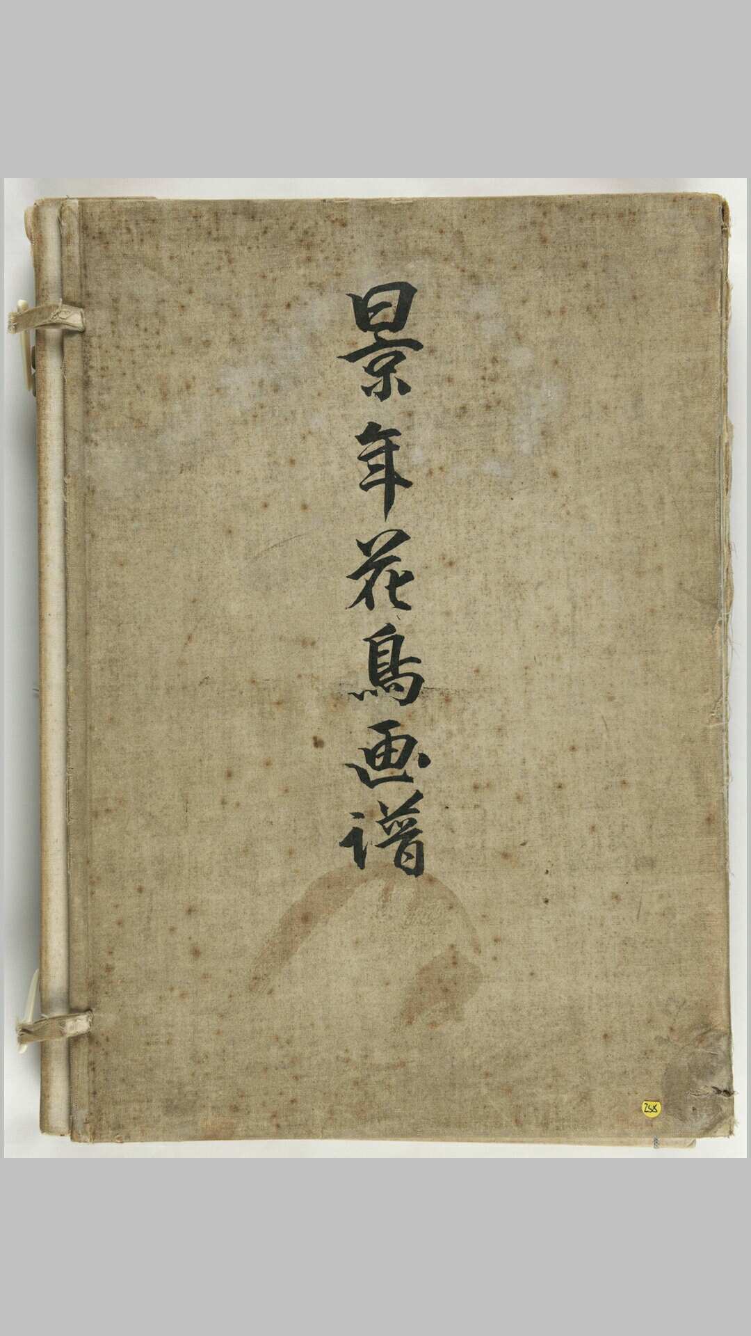 景年花鸟画谱.四卷.今尾景年绘.西村总左卫门.1892年刊本
