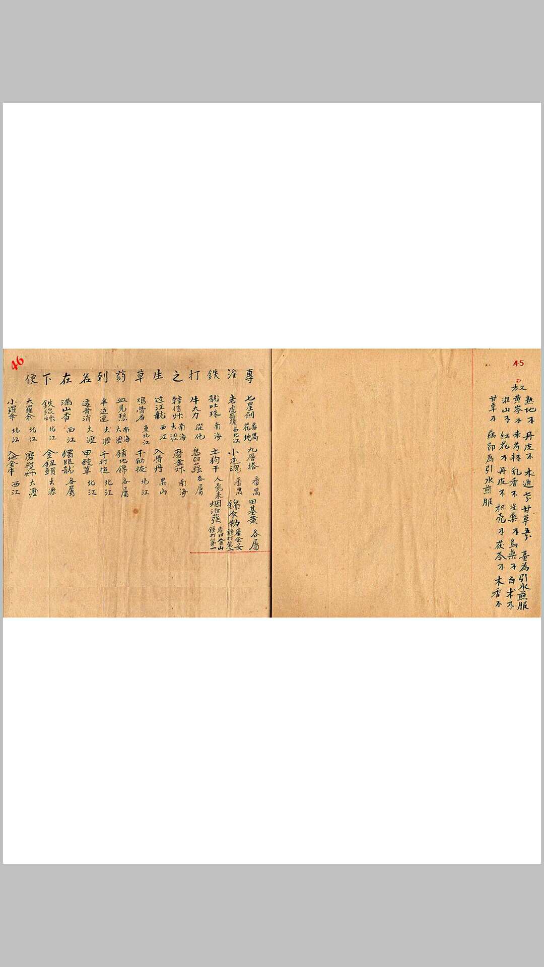 专医跌打秘方