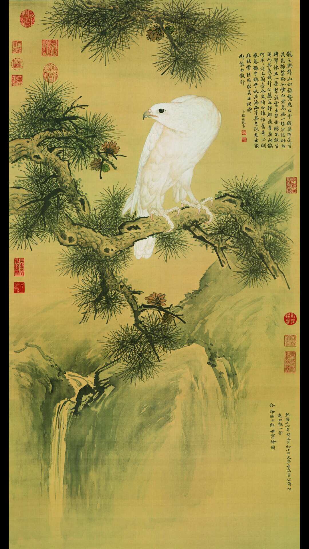 清 郎世宁白鹰图 绢本122.25×64.79