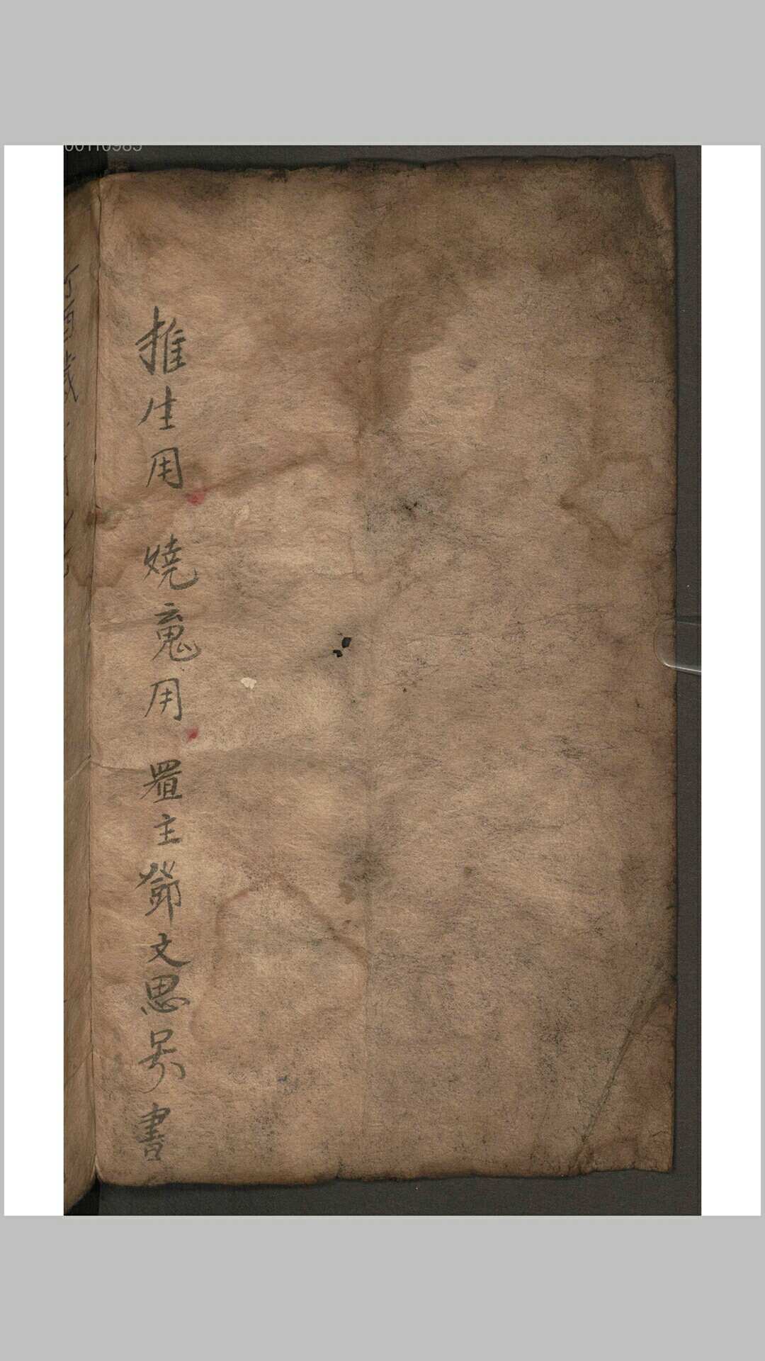 推生烧魂书