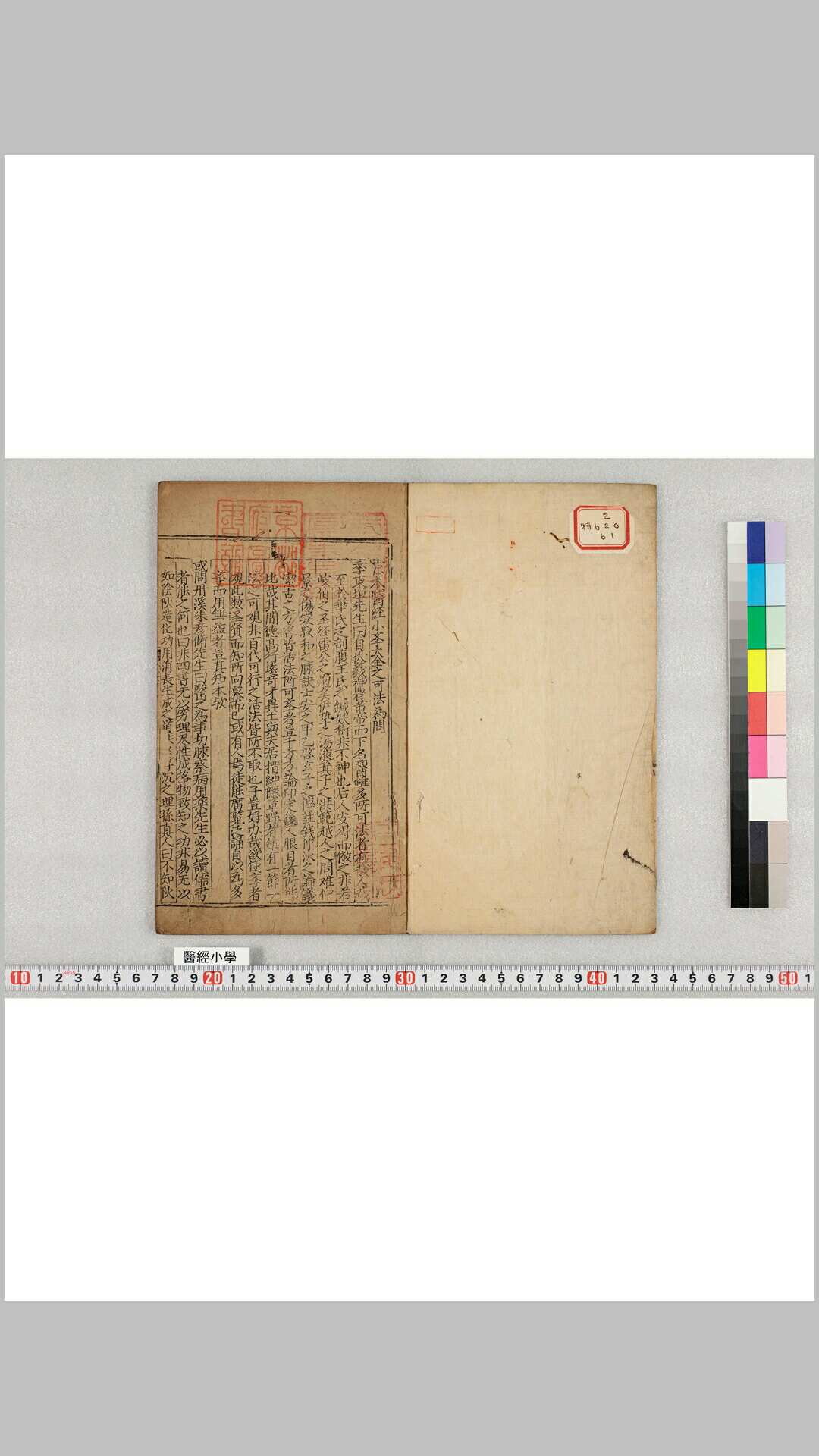 新刊医经小学大全