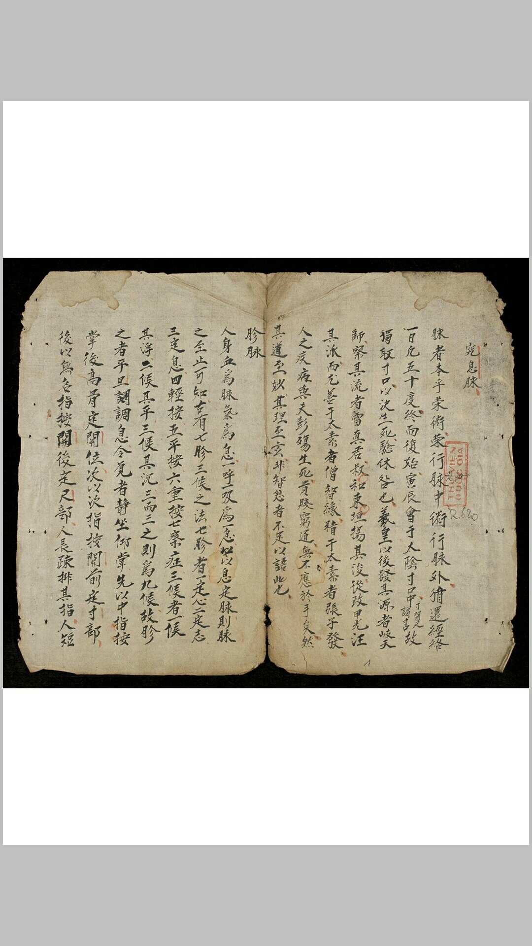 究息脉