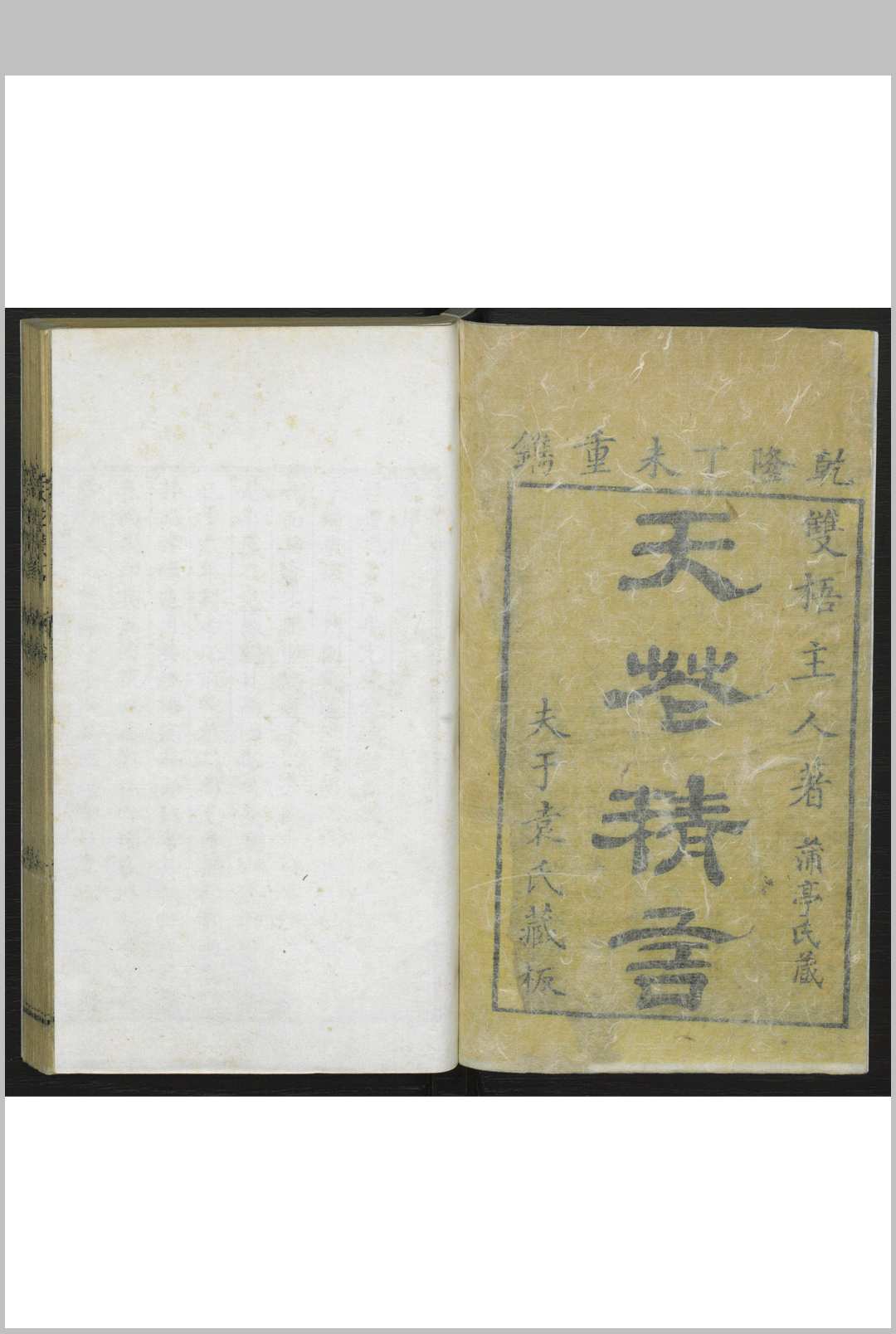 天花精言  六卷 袁句著