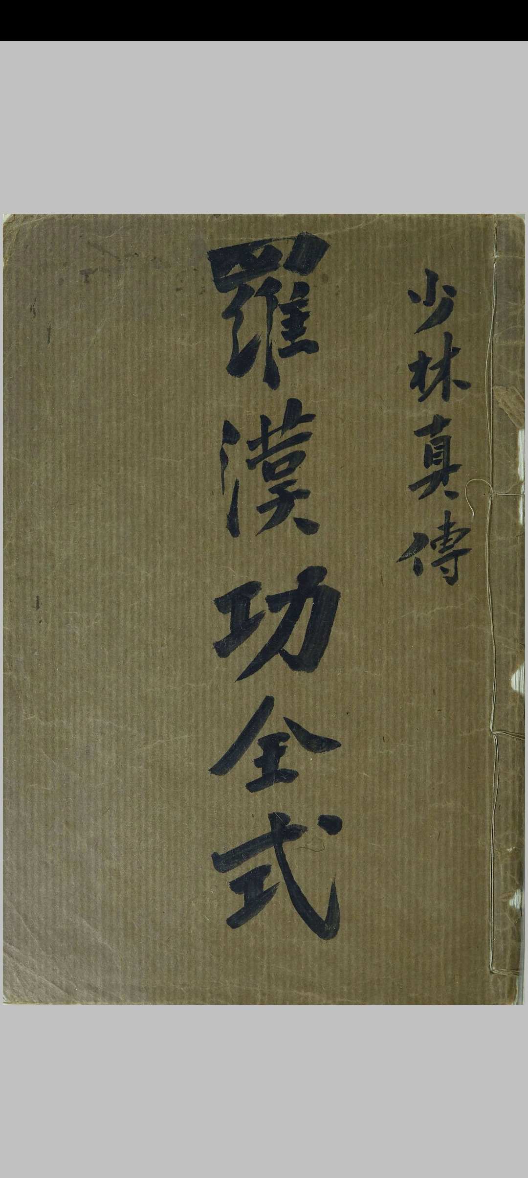 罗汉功十八步全式