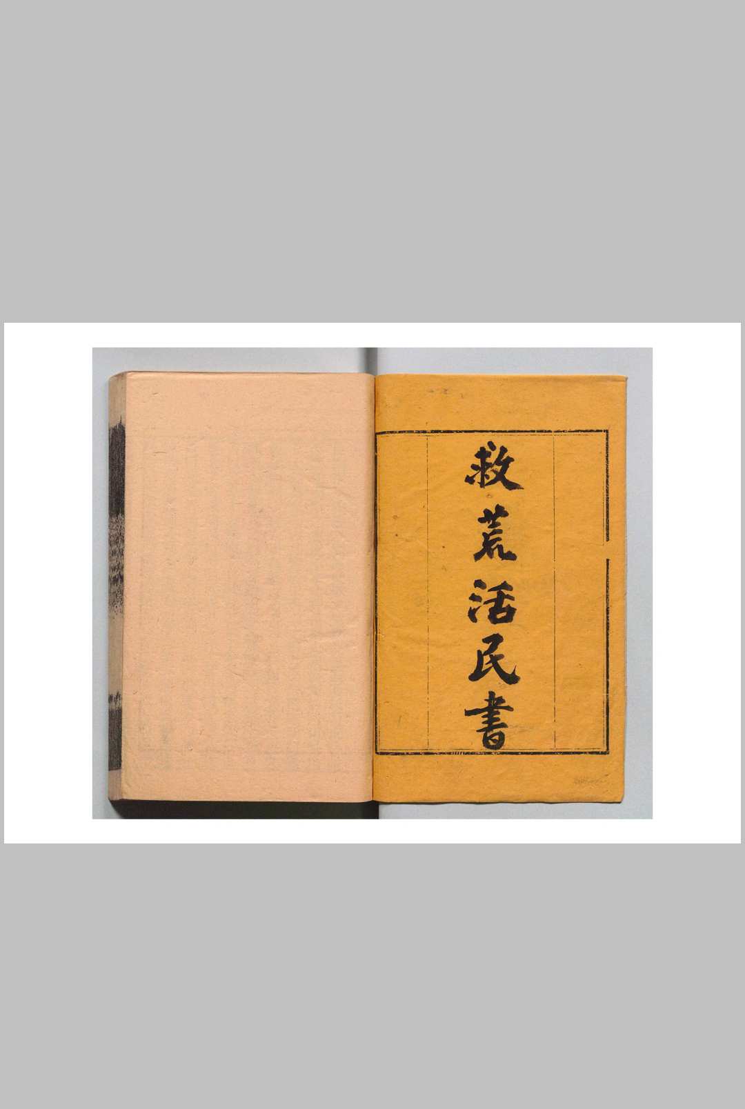 救荒活民书 ３卷拾遗１卷 董煟（宋）张海鹏（清）清嘉庆13年