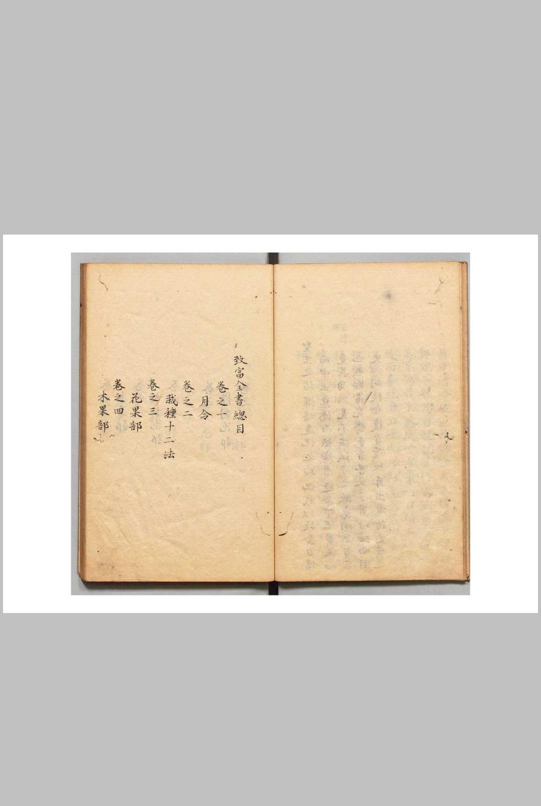 汝南圃史 12款 周文华（明）写本 ,江戸