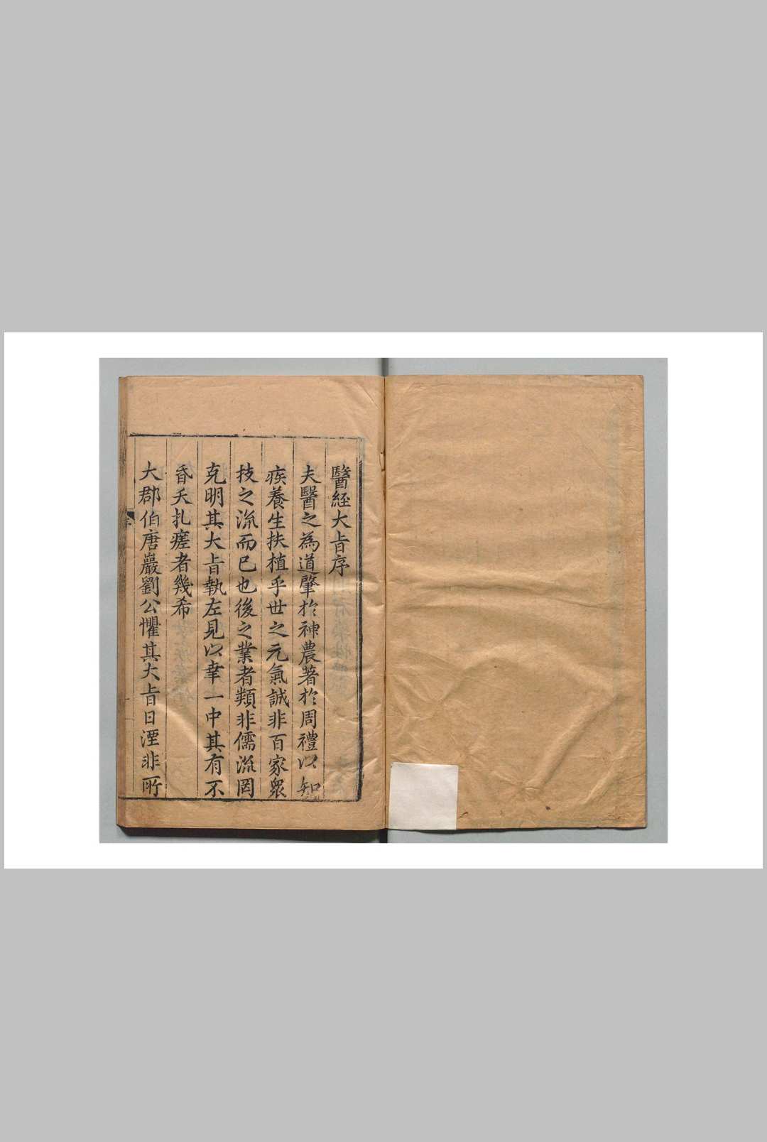 医经大旨 贺岳（明）