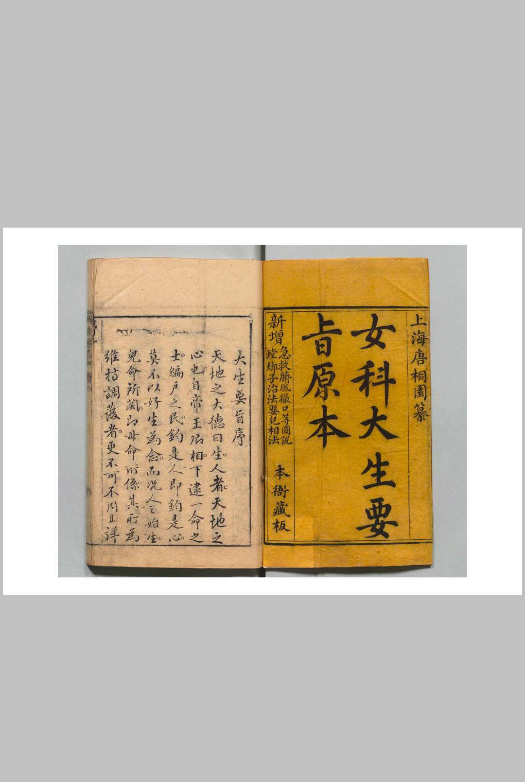 大生要旨 唐千顷 清