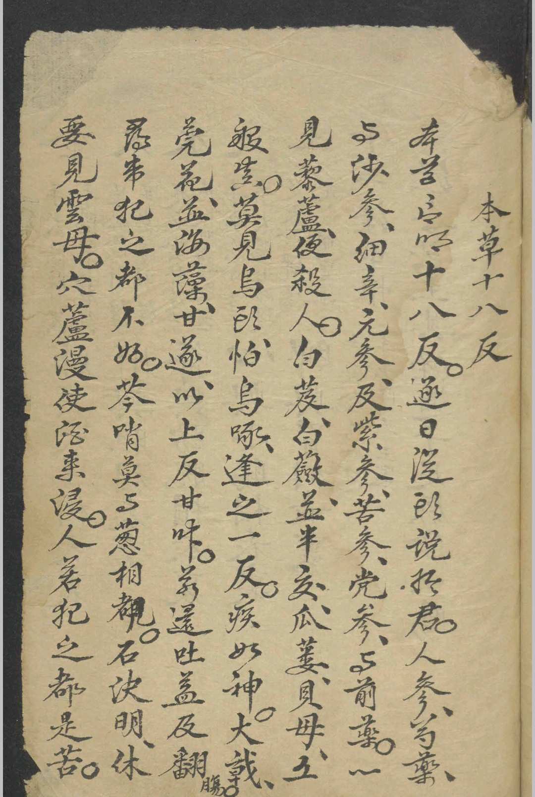 中医入门读物   1800
