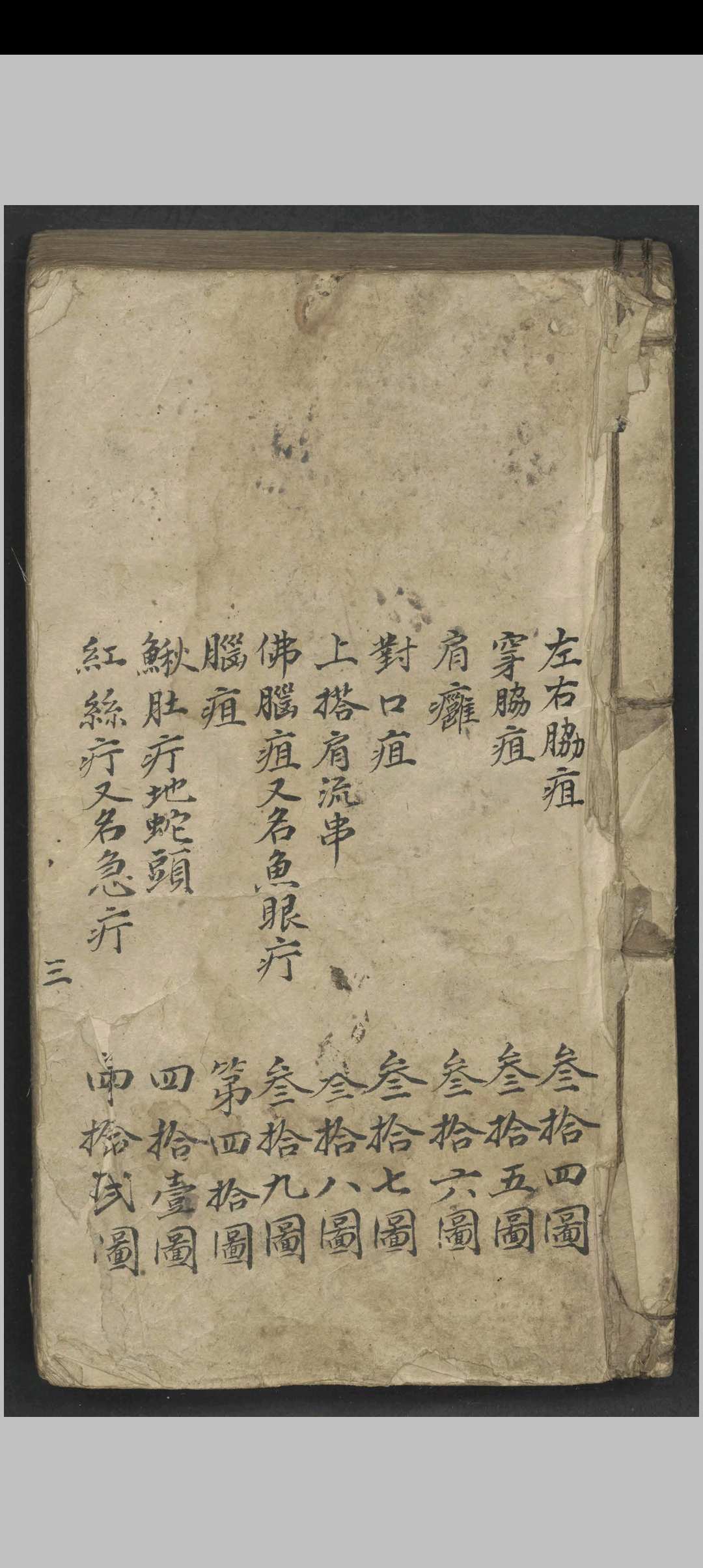 医林精萃   1900