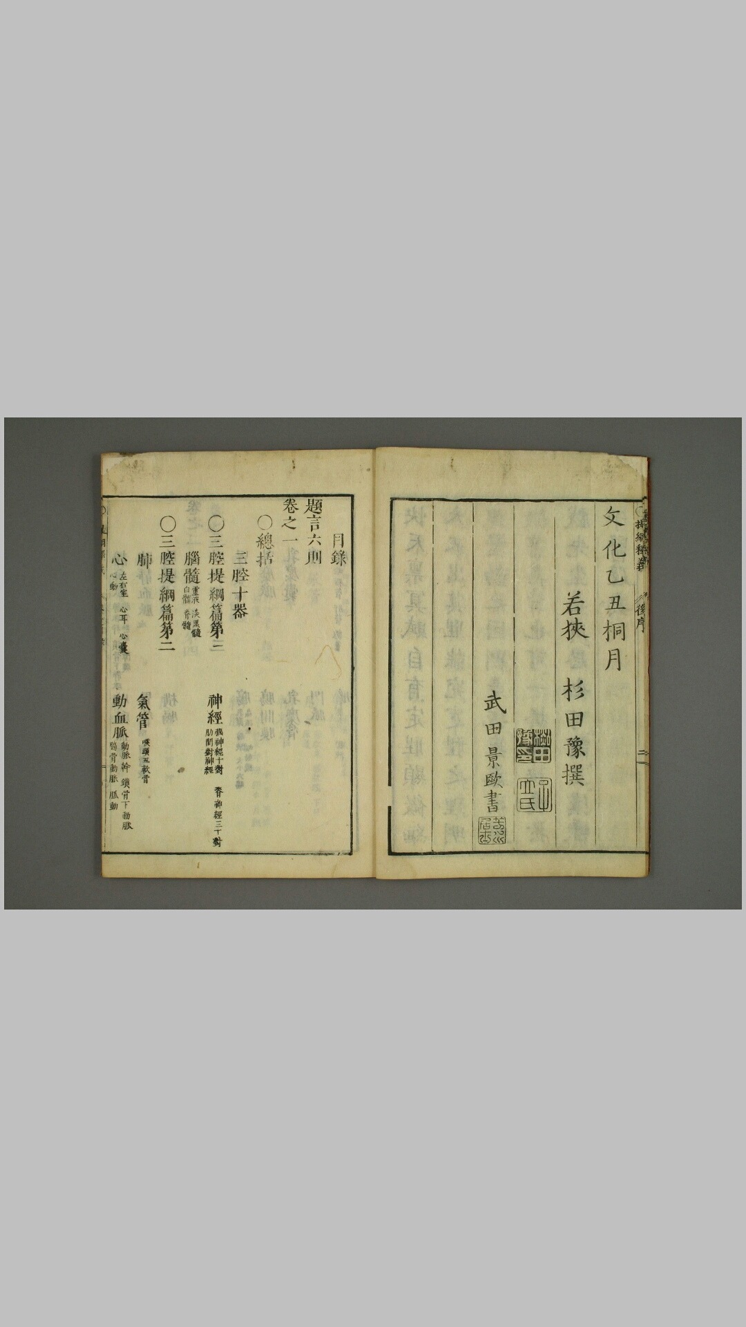 医