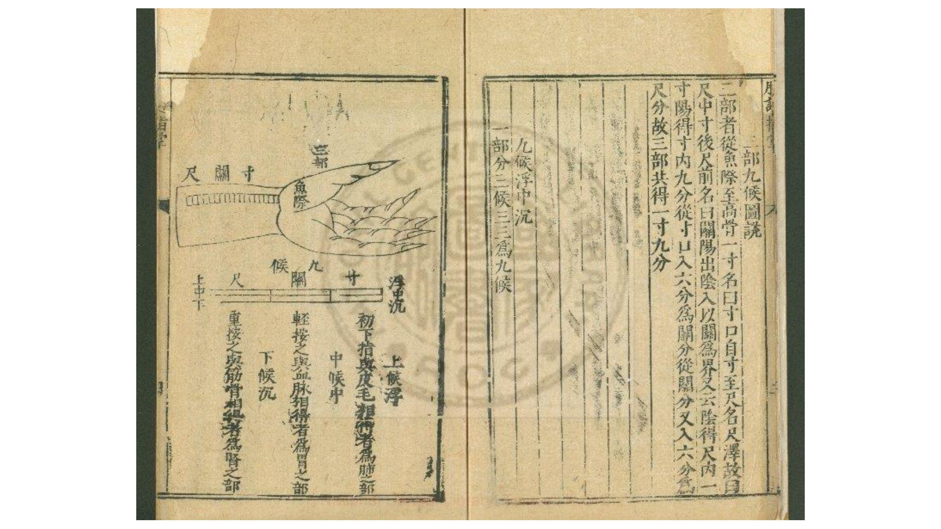 丹溪脉