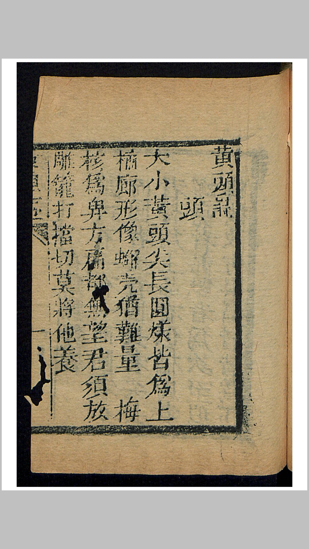 黄