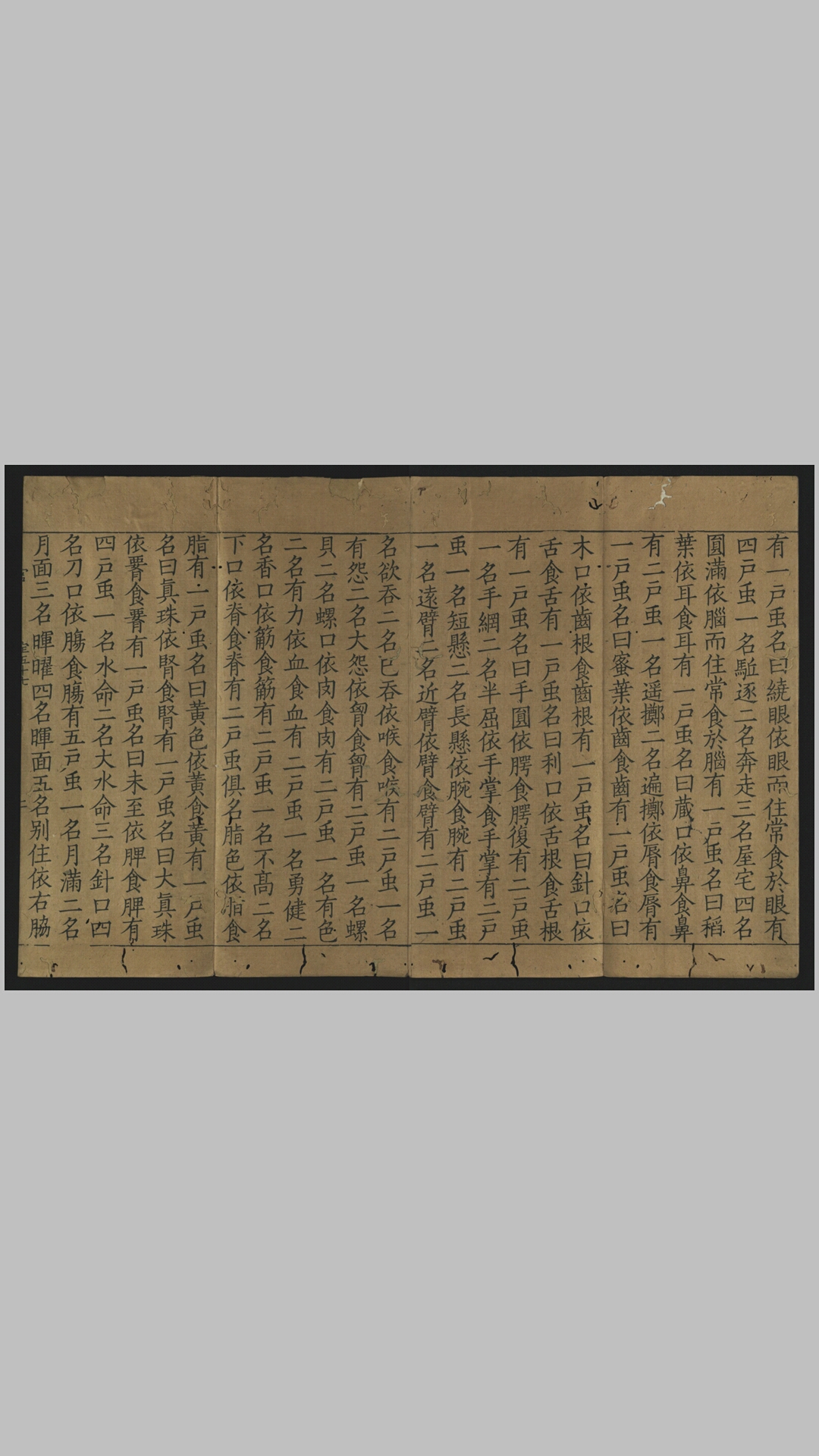 大宝