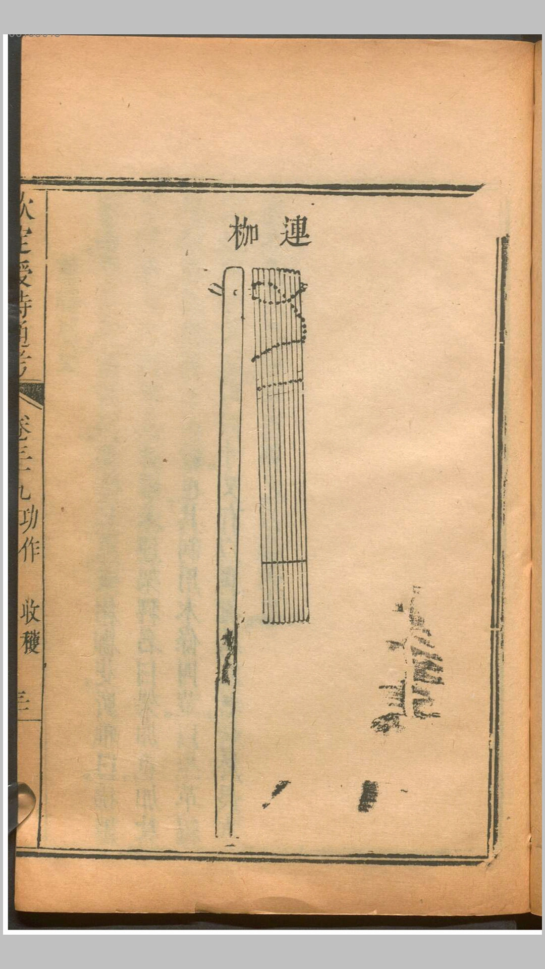 时