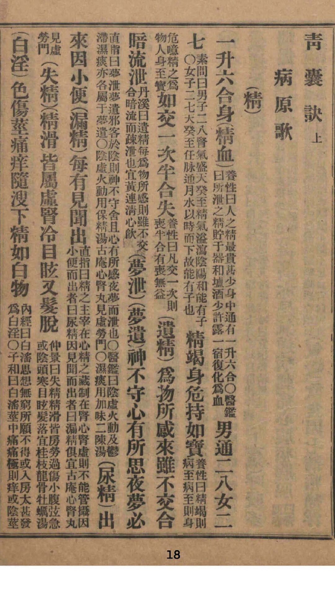 青囊