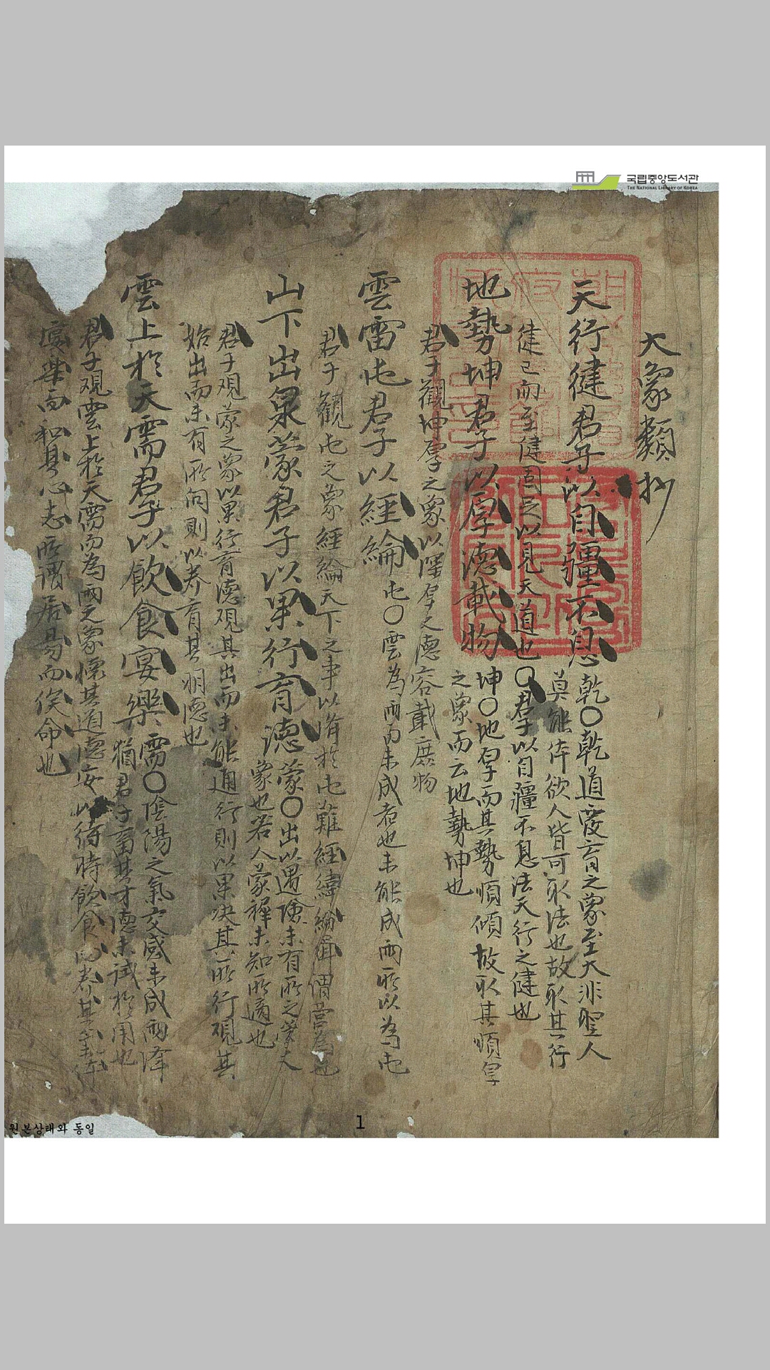 大象类抄