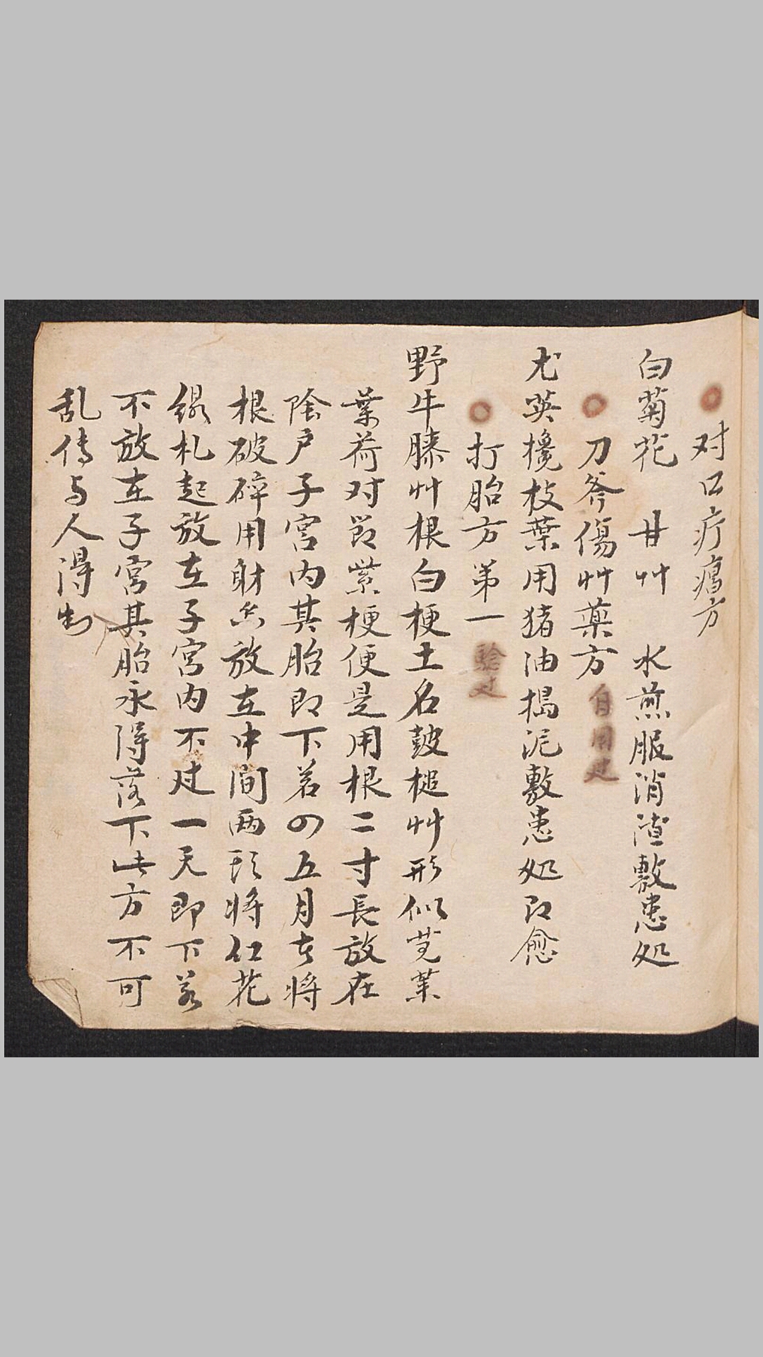 杂方