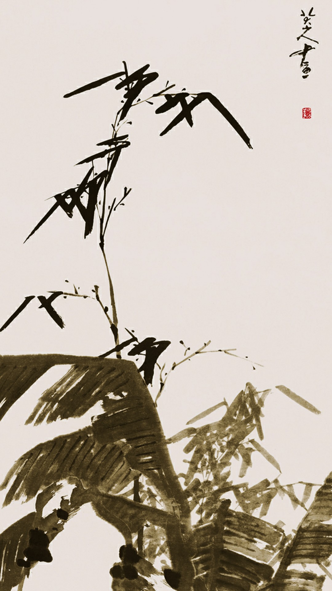 芭蕉