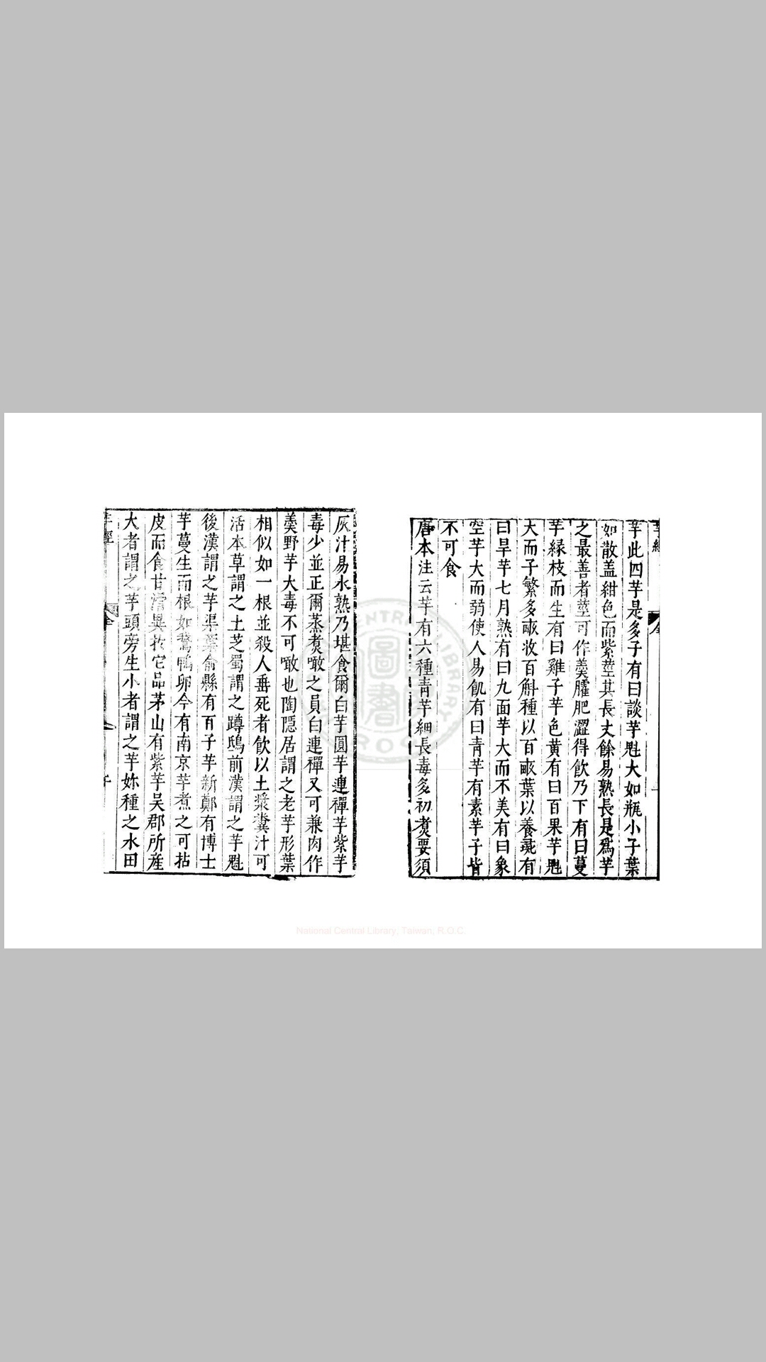 芋经