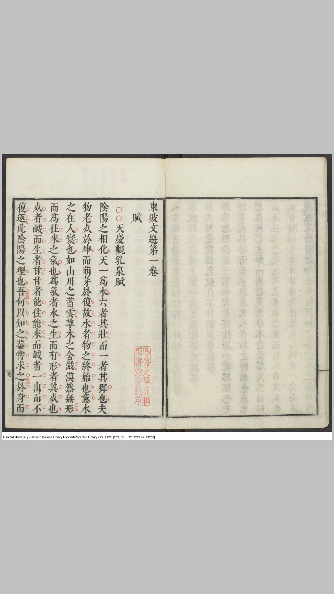东坡