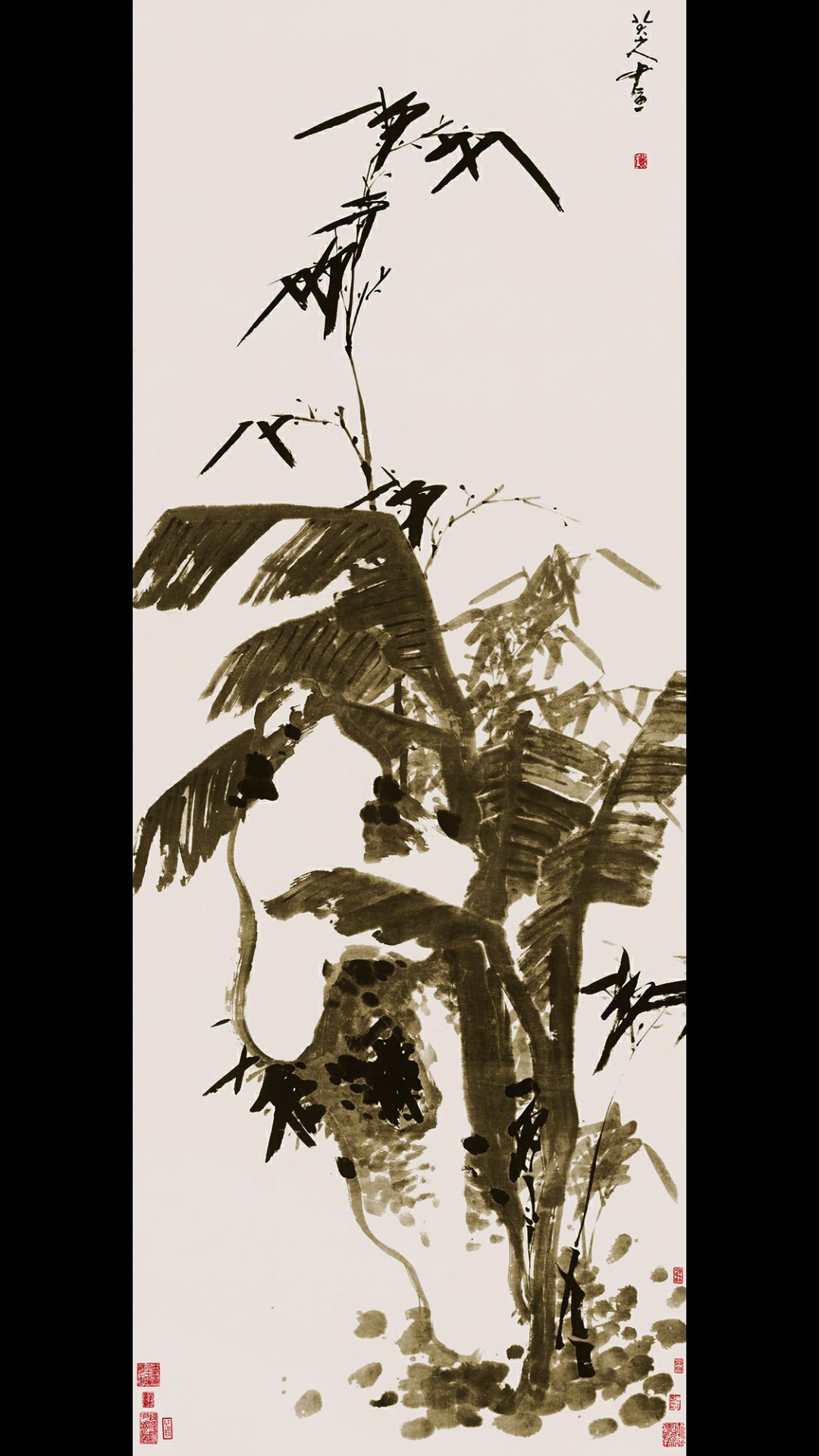 芭蕉竹石机宣