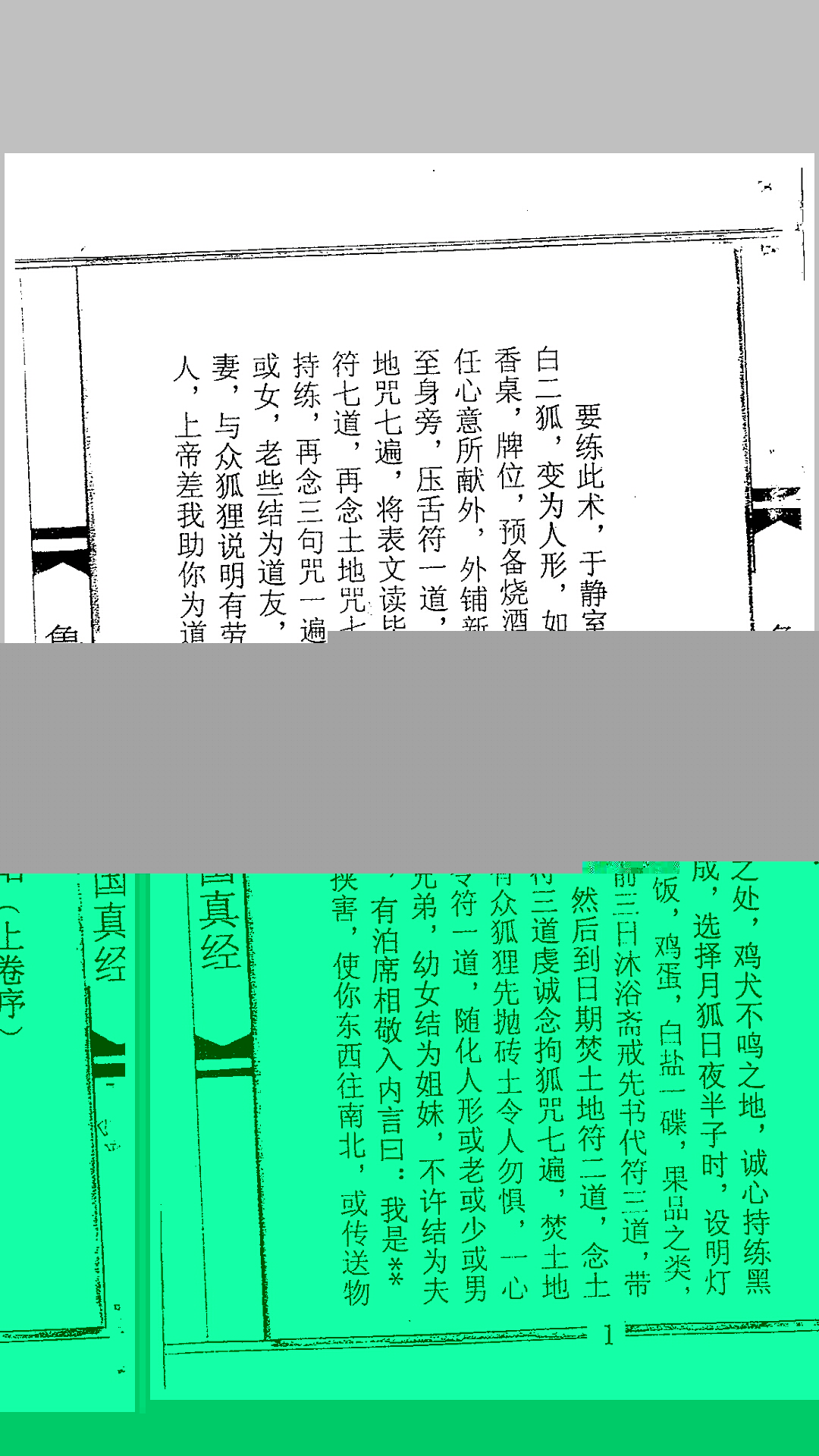定国真经大木经