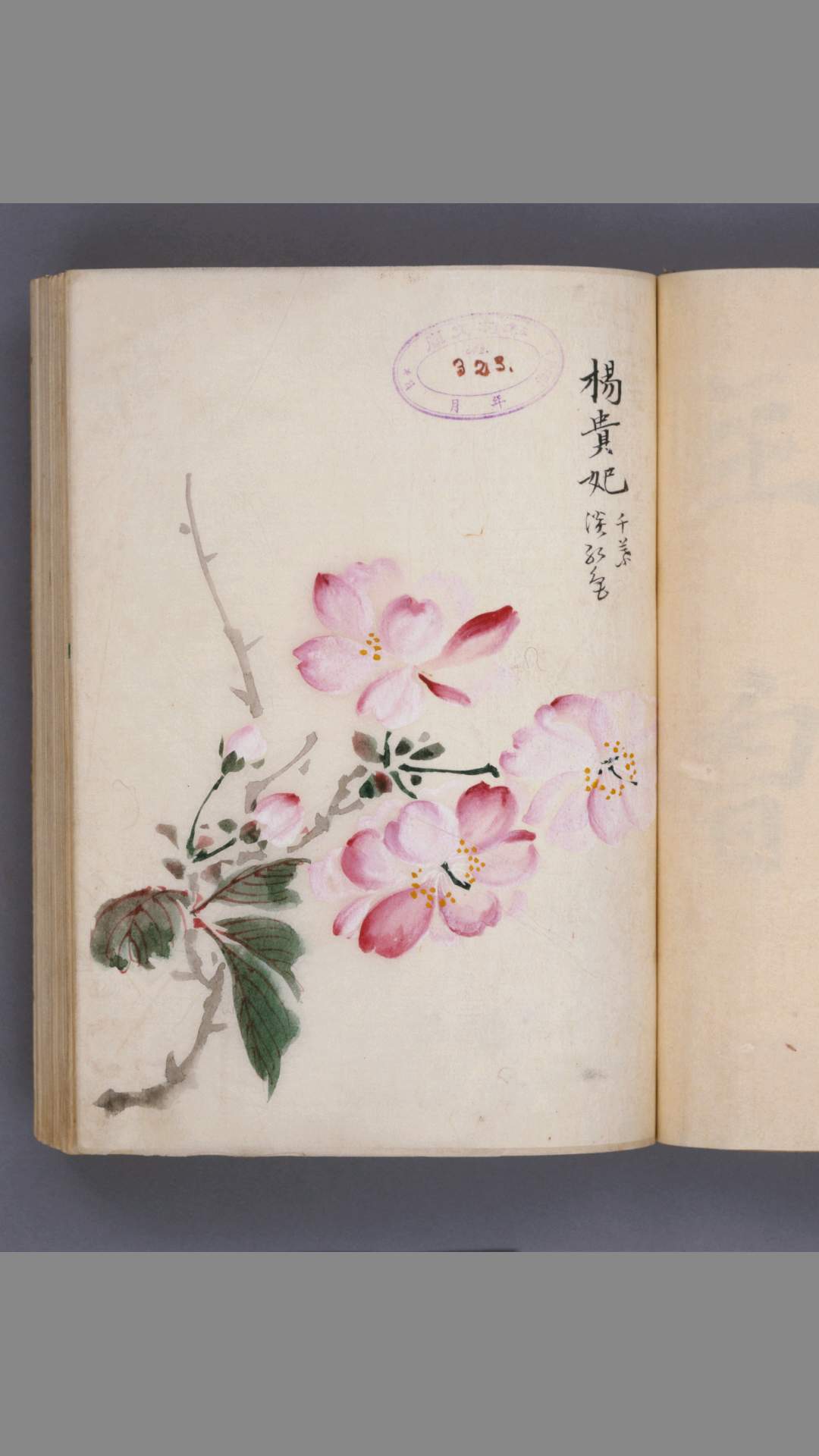 樱华八十图.超高清版本.5699×3624
